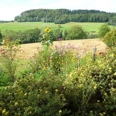 Blumenwiese Weilheim Esterno foto