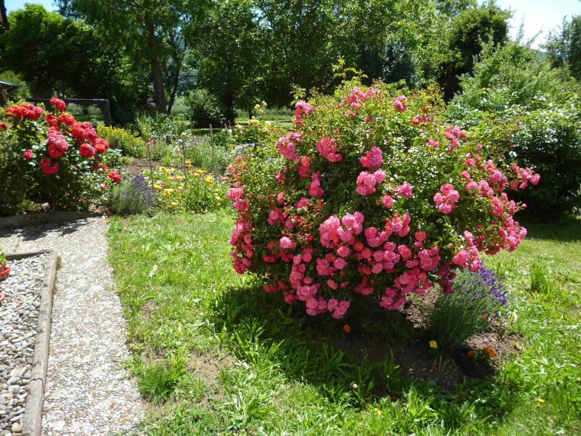 Blumenwiese Weilheim Esterno foto